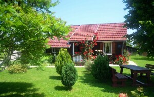 Kuća Nela kod Plitvičkih jezera, Airbnb - 3