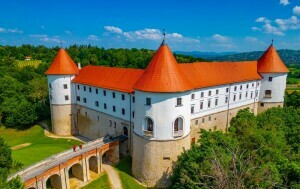 Slovenski dvorci - 1