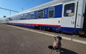 Vlakom s psom u Švicarsku - 8