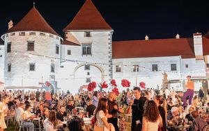 Vinski grad Varaždin - 3