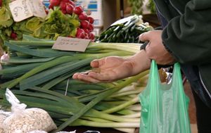Poskupljuje život (Foto: Dnevnik Nove TV) - 1