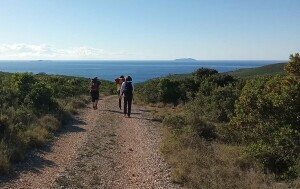 Camino Korčula - 6