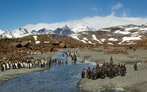 Kerguelen - 1