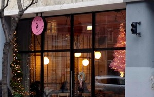 Cynic u Martićevoj - 16