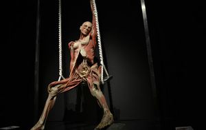 Body Worlds Amsterdam - 7