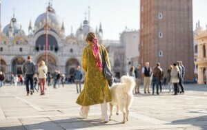 Neki ljudi putuju sa svojim kućnim ljubimcima i obilaze turističke atrakcije