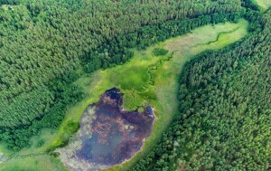 Nacionalni park Dzūkija u Litvi - 1