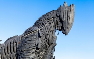 Kviz općeg znanja - 6