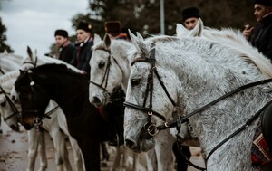 Poklade u Vinkovcima
