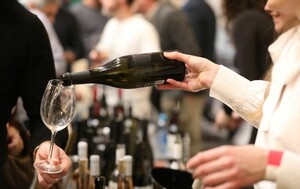 100 najboljih vina Hrvatske - 9