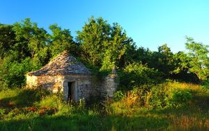 Kažun - 14