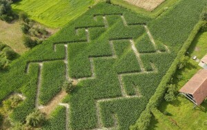 Kukuruzni labirint u Posavskim Bregima - 3