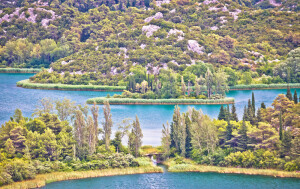 Baćinska Jezera - 5