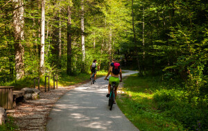 Bohinj - 4