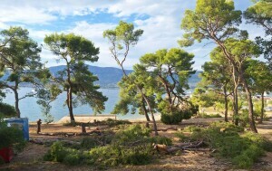 Marjan nakon oluje - 18