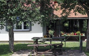 Gospić - 30