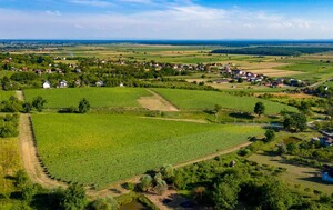 Vinograd u Moslavini