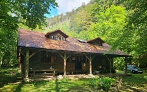 Slapnica - 17