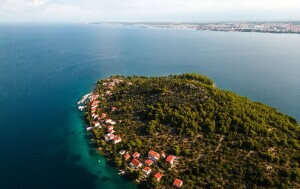 Ošljak - 3