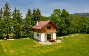 Kuća za odmor Zeleni san - 6