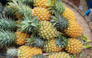 Ananas