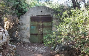 Mljet - 12