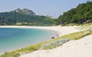 Cies
