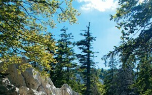 Premužićeva staza na Velebitu - 19