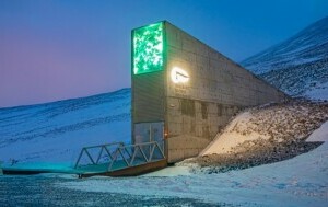 Svaldbard seed vault