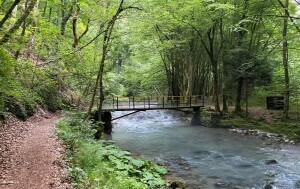 Potok Curak, Gorski kotar