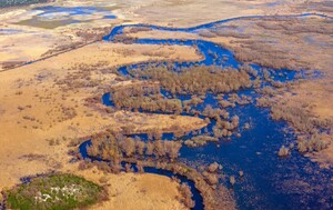 Zima u Hutovom blatu - 5