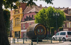 Žatec, grad hmelja i piva - 8