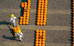 Sajam sira u Alkmaaru - 9