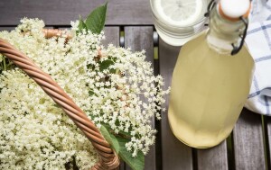 Sok od bazge (40 cvjetova) – ljekovitost, recept i priprema | Kreni zdravo!
