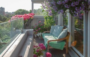 Biljke za balkon na suncu: Važno je dobro odabrati! Ovo cvijeće voli se “sunčati” i unijet će dašak prirode u vaš urbani stan