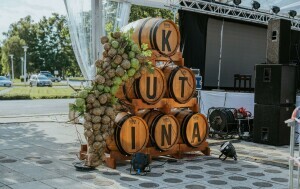 Festival MoslaVina - 4