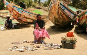 Senegal - 45