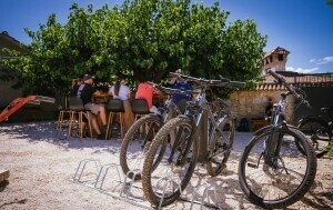Gourm-E-bike Istra - 5