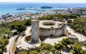 Palma