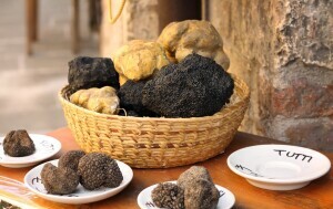 Tartufi