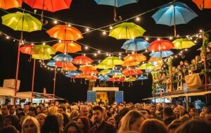 Baš naš festival - 1