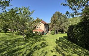 Green Home - 3