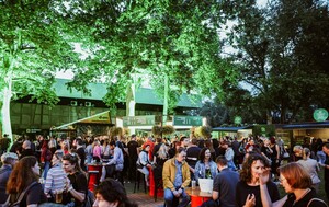 Greencajt festival - 3