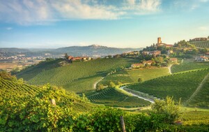 Pijemont je poznata vinorodna regija u Italiji