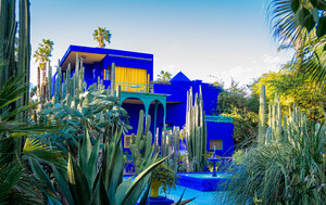 Botanički vrt Majorelle - 5