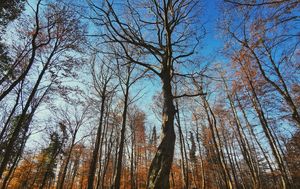 Kameni svati, Medvednica - 2