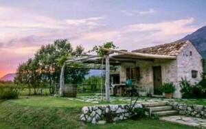Vineyard Eco Cottage