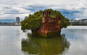 Homebush Bay - 3