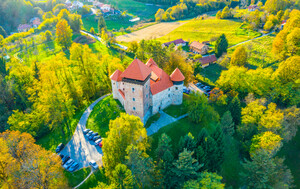 Stari grad Dubovac