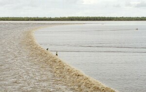 Plimni val pororoca u Brazilu na rijeci Amazoni - 1
